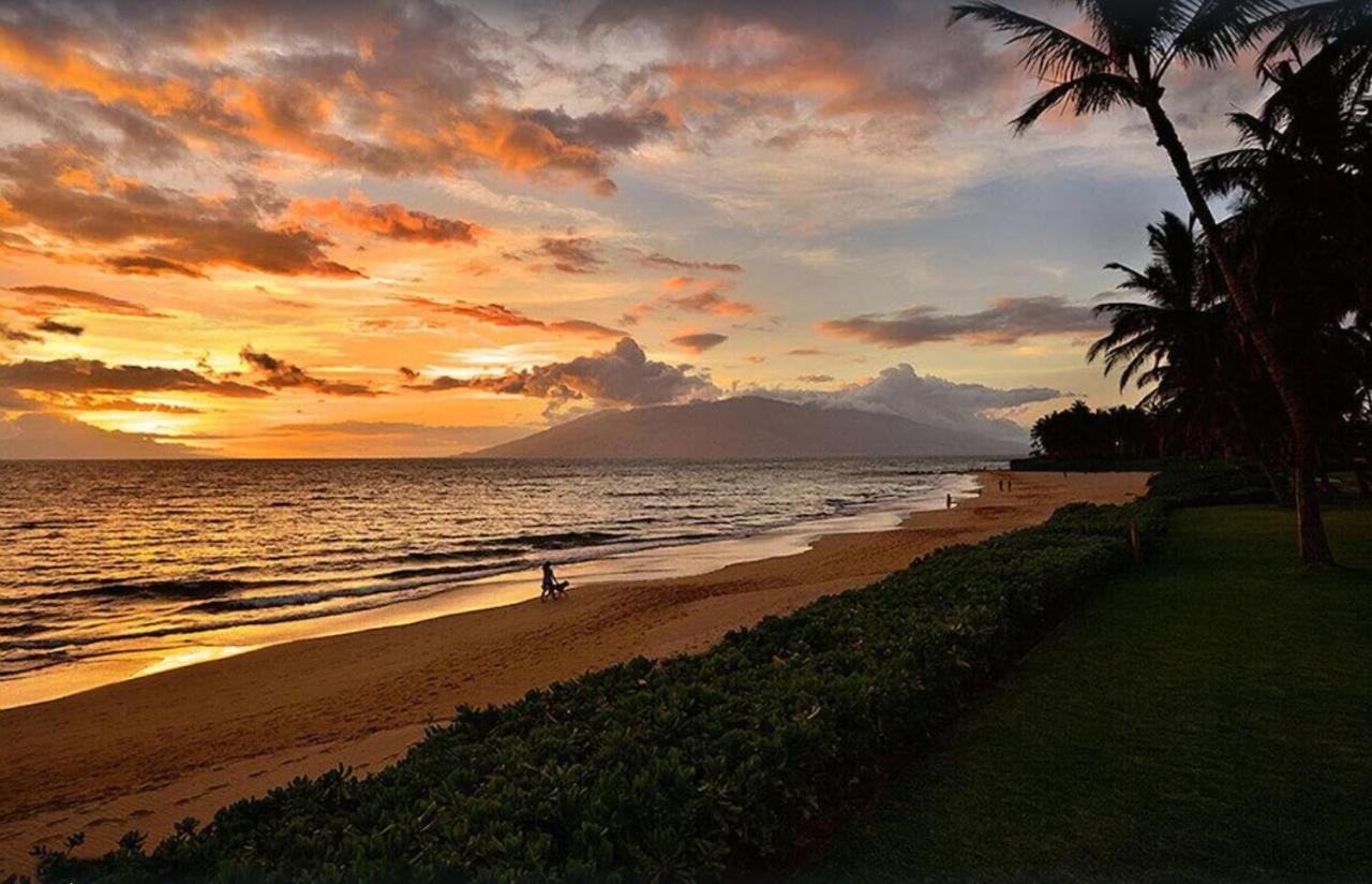 Tropical Maui Kamaole B-Bldg Lägenhet Wailea  Exteriör bild