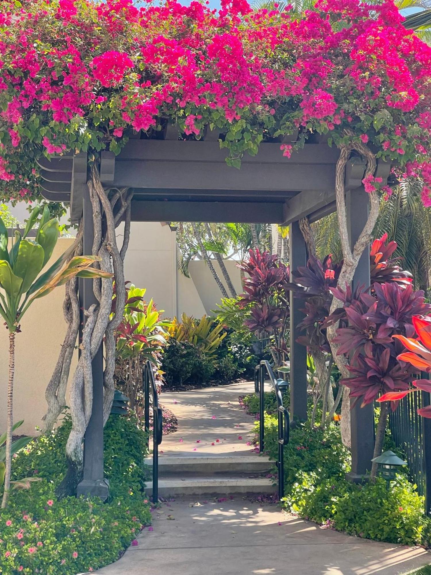 Tropical Maui Kamaole B-Bldg Lägenhet Wailea  Exteriör bild